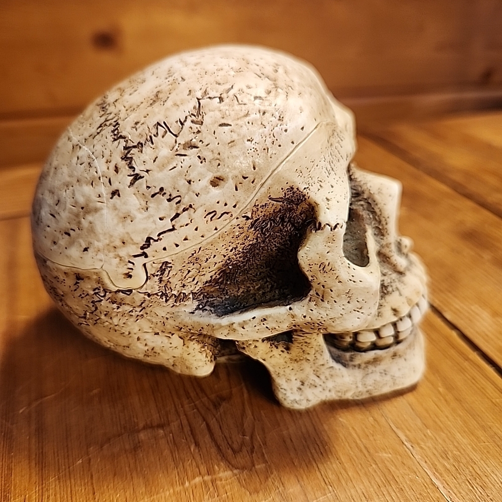 Vintage Skull Ashtray Trinket Removeable Cranium Figural Hidden Secret Sneaky - Picture 2 of 9
